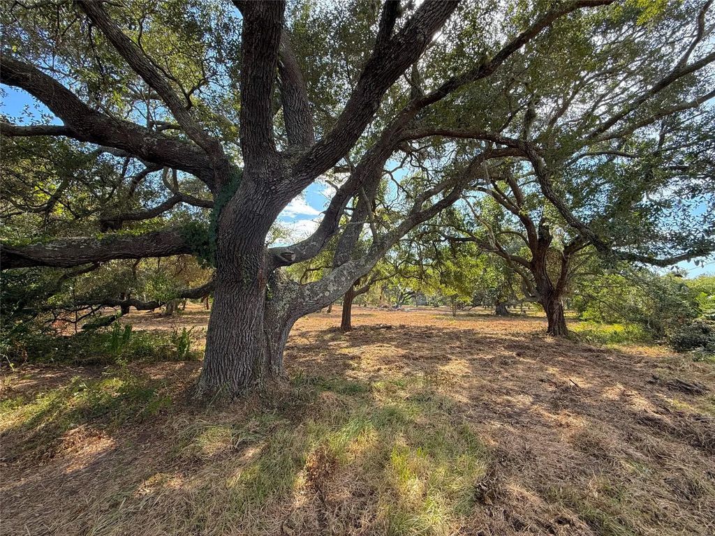 Lot 1 S F Austin, Freeport