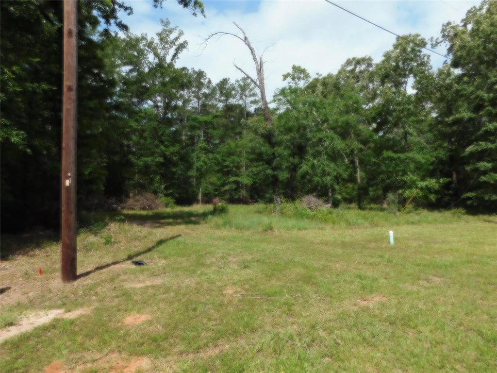 195 Moonlite Drive, Livingston