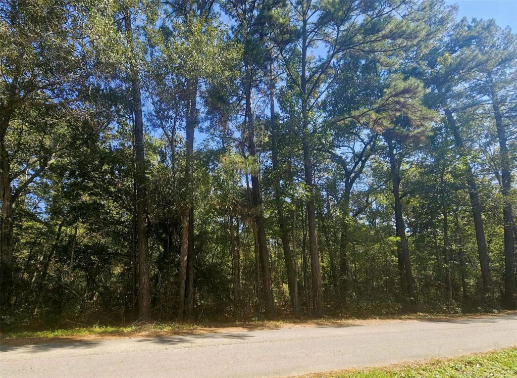 Tbd Royal Springs Road, Conroe