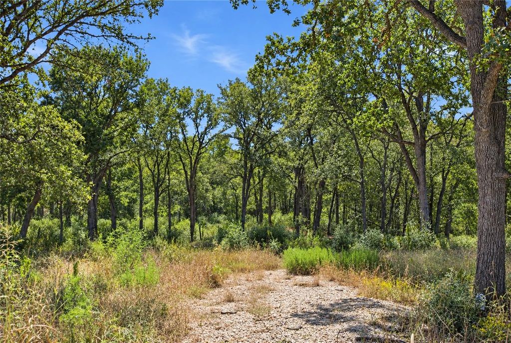 115 Deep Woods Court, Cedar Creek