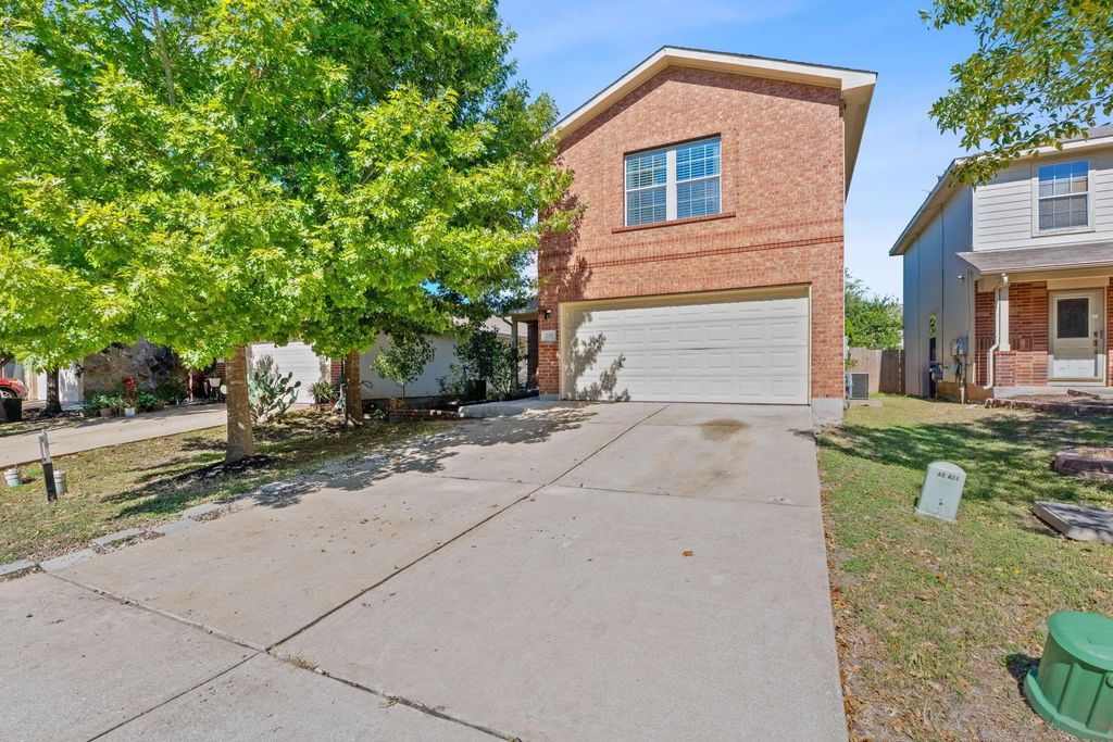 229 Black Forest, Buda