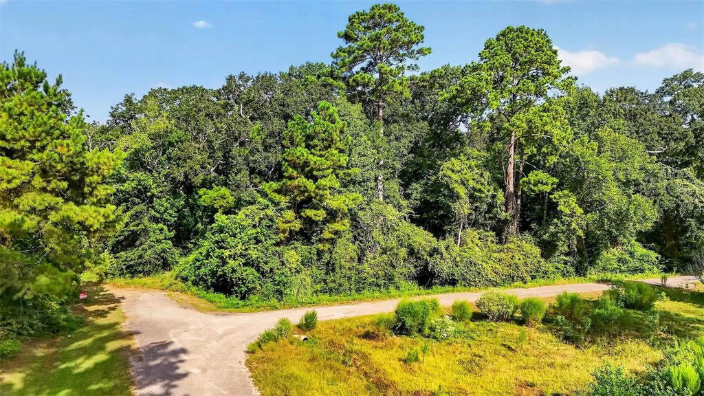 Tract 136 Garden West, Conroe