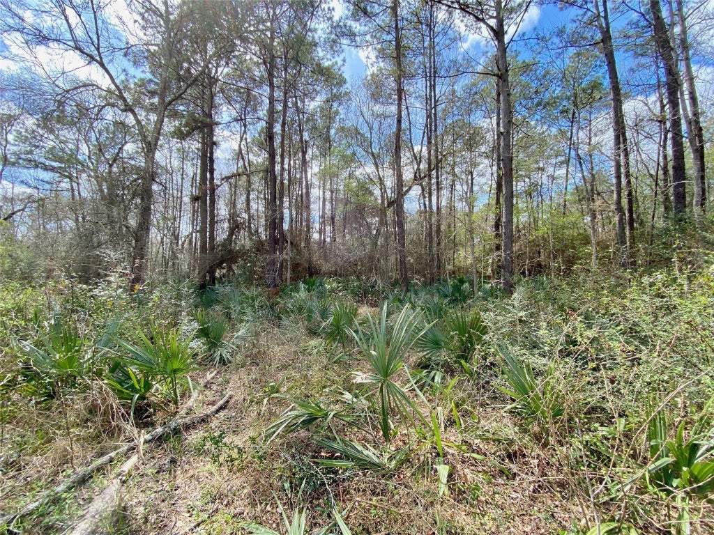 Scamper Lane, Crosby