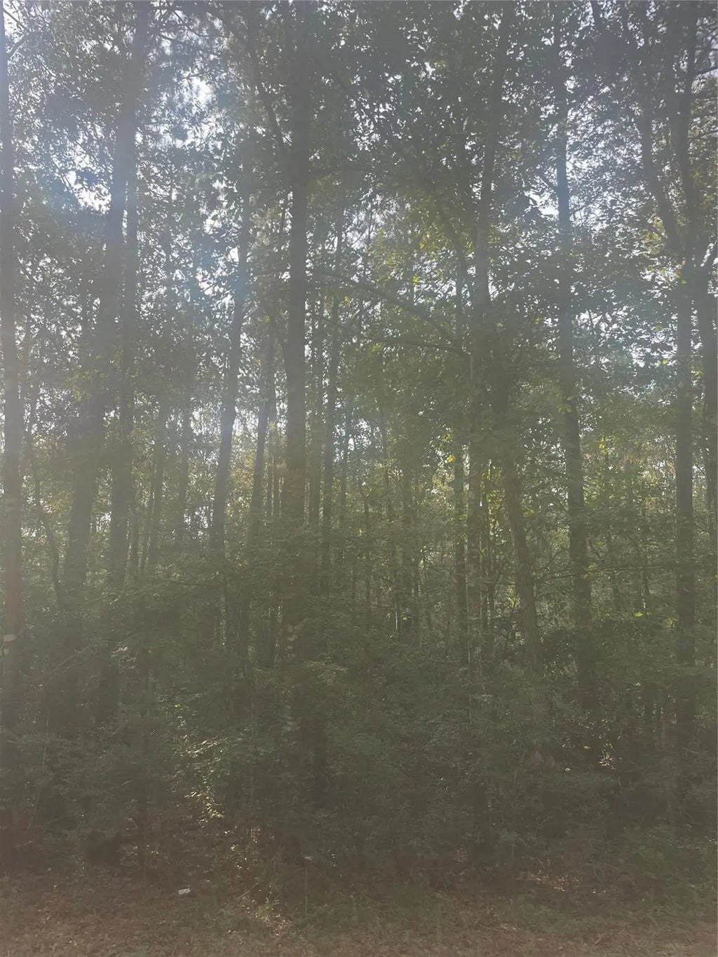 River Creek Drive, Cleveland