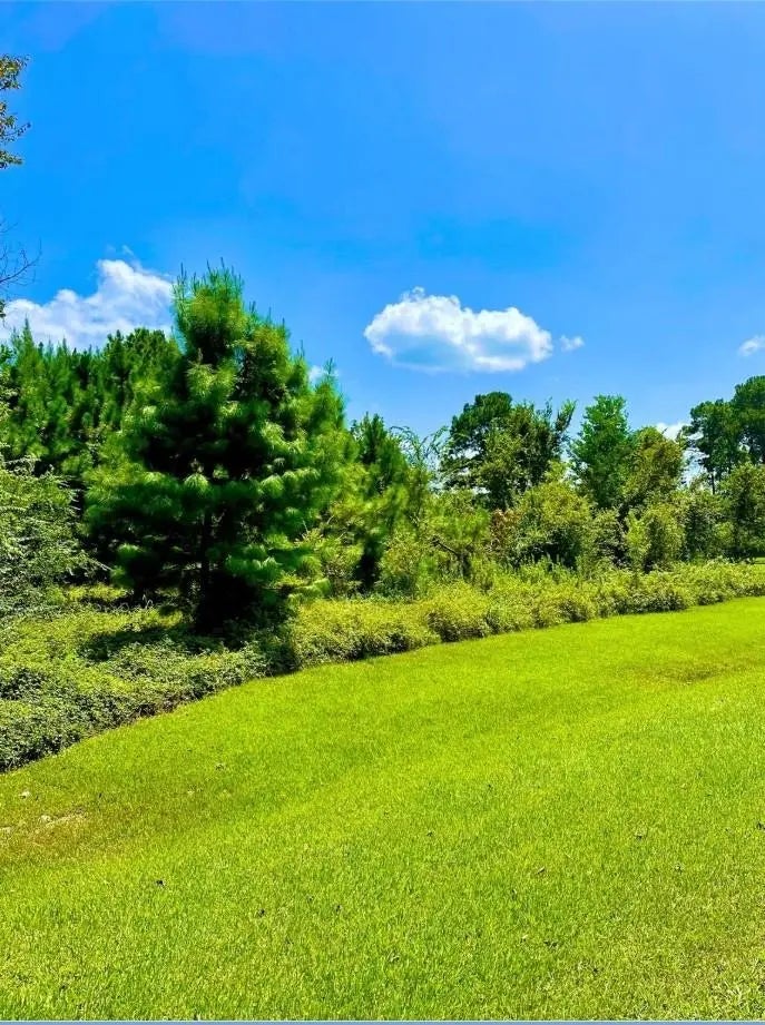 Lakeshore Drive, Hempstead