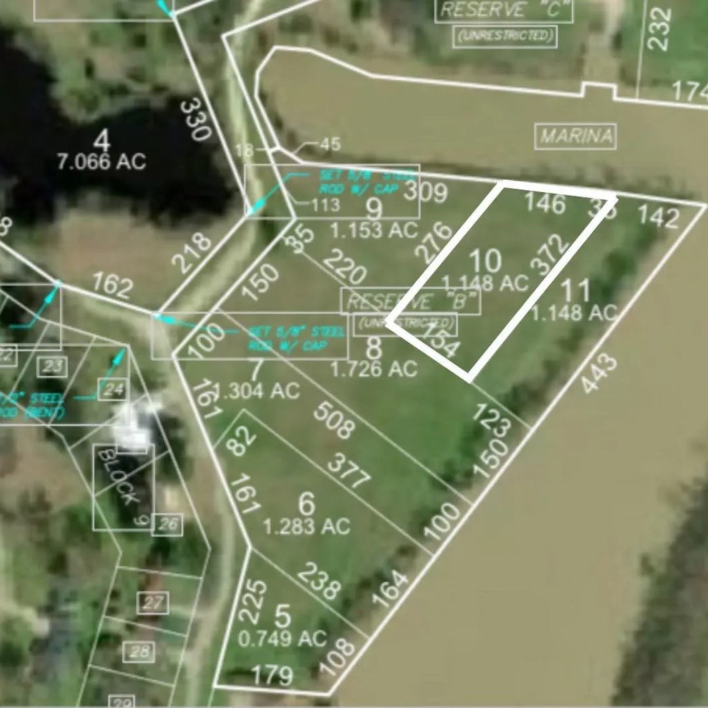 Lot 10 Lake Livingston Lane, Trinity