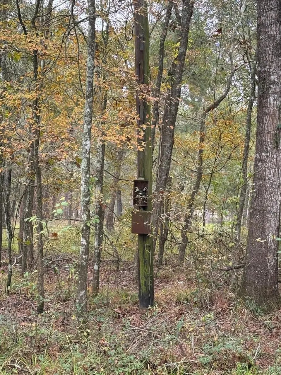 Red Oak Ln, New Caney