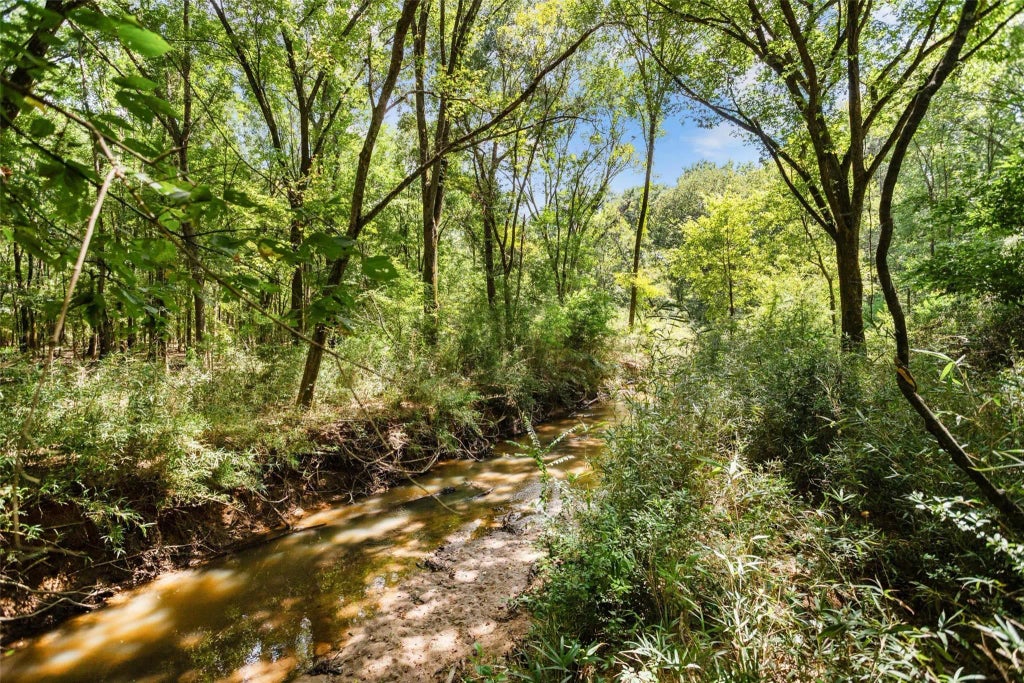 1593 Cr 2290, Grapeland