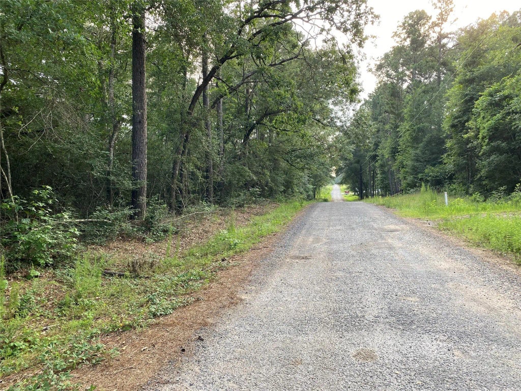 Tbd Greenway Drive, Plantersville