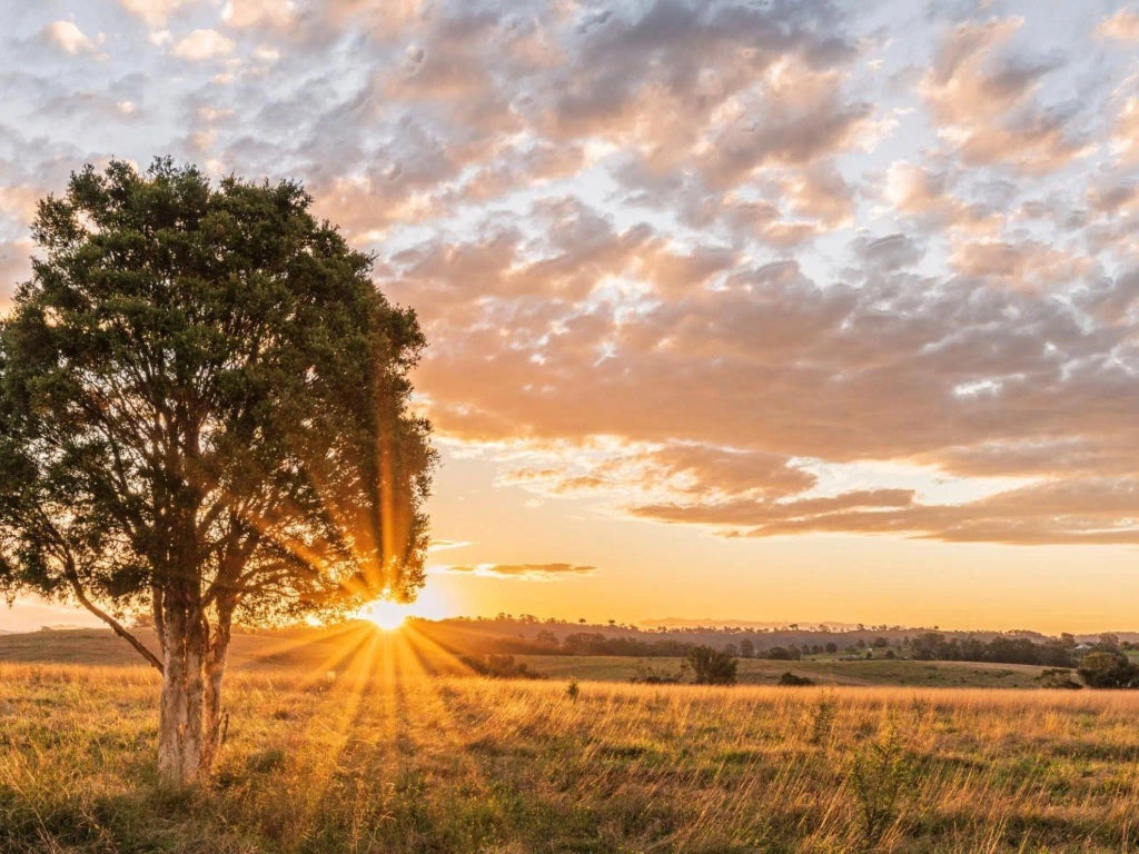 Lot 66 121 Oak Hollow Court, Cat Spring