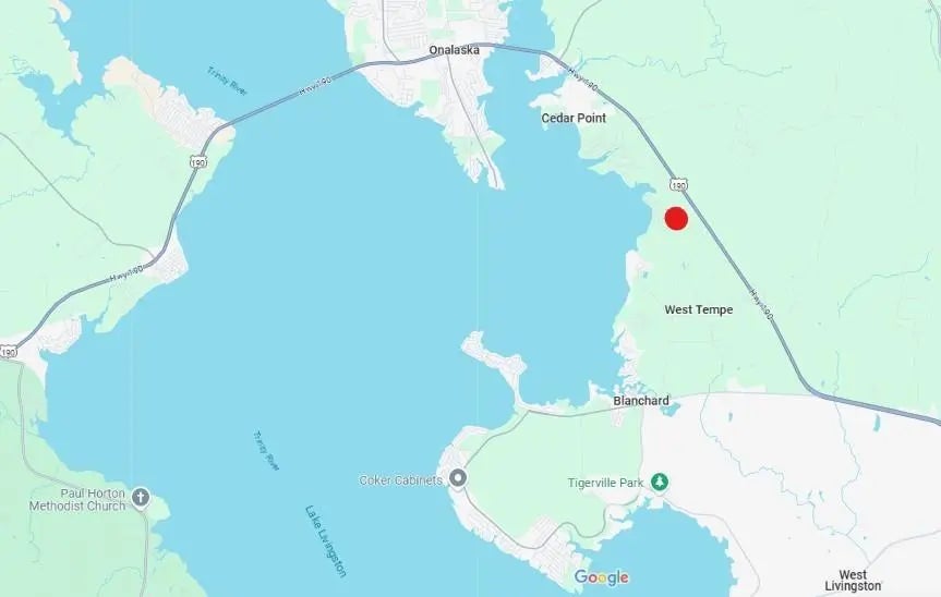 Tbd Gray Fox, Livingston