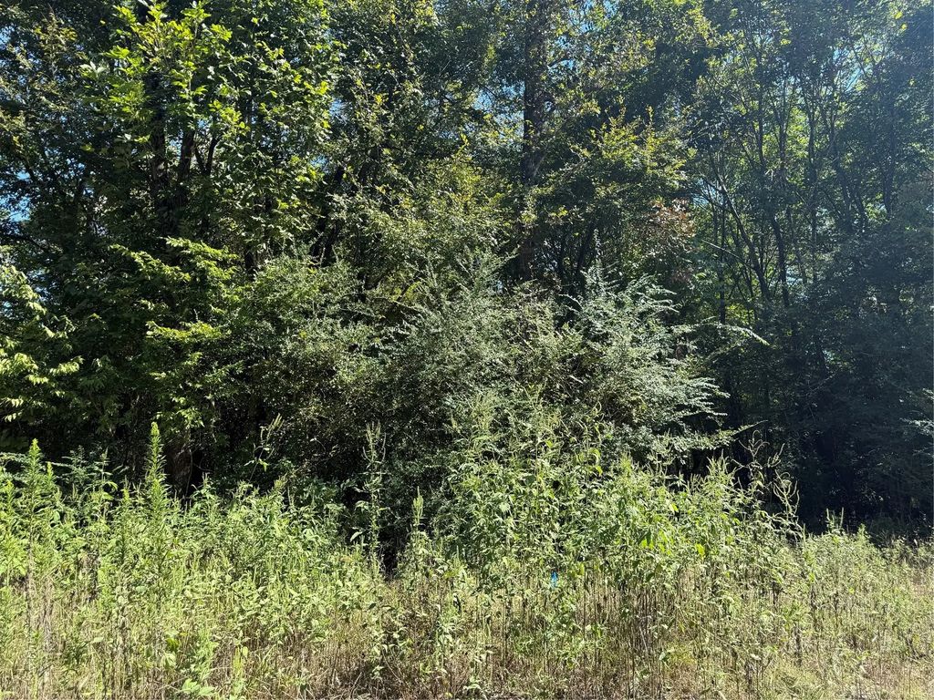 Fishermans Trail, Huntsville