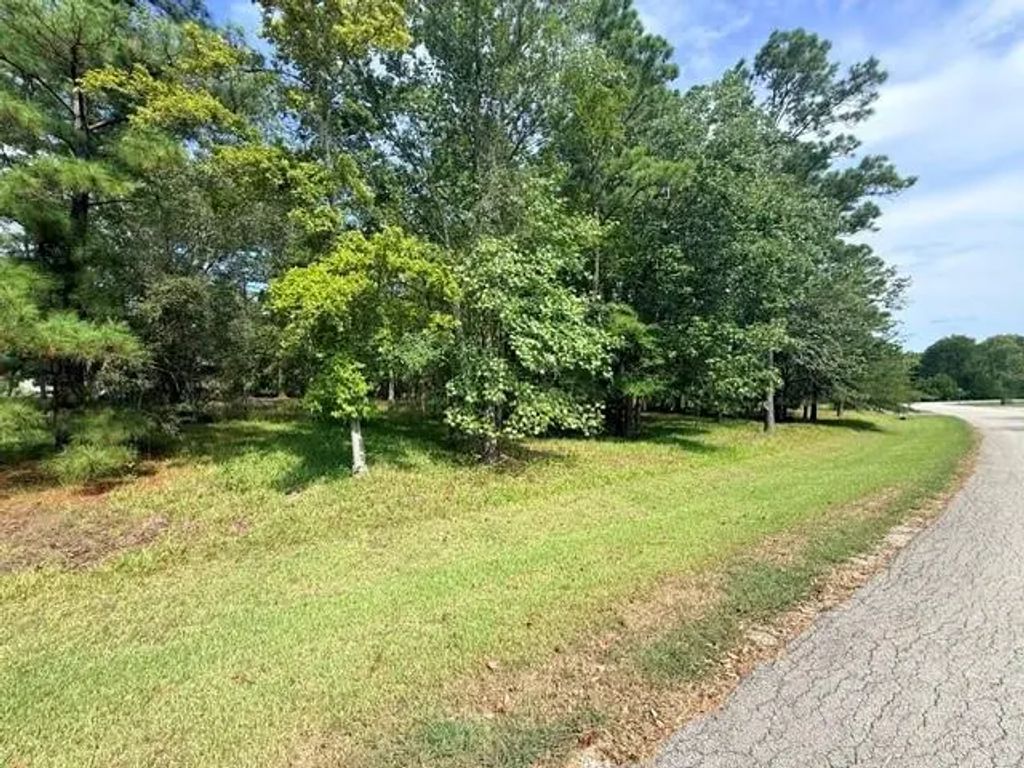 Tbd0 Kings Point Drive, Coldspring