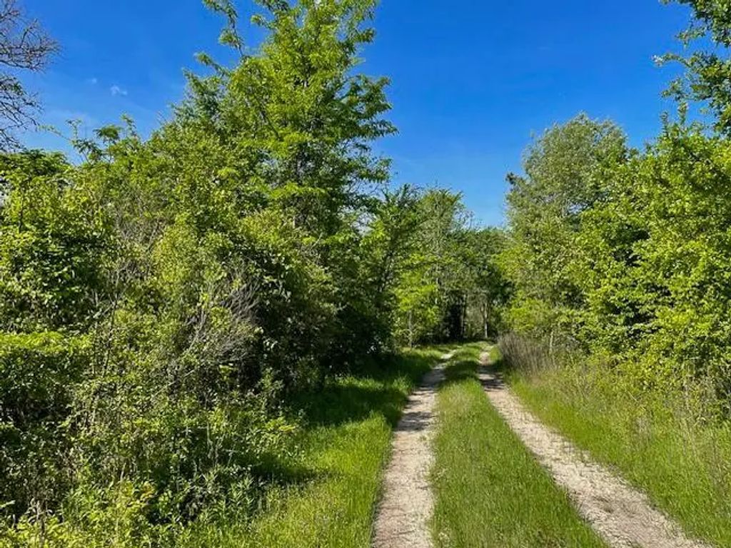 8763 Fm 356, Trinity