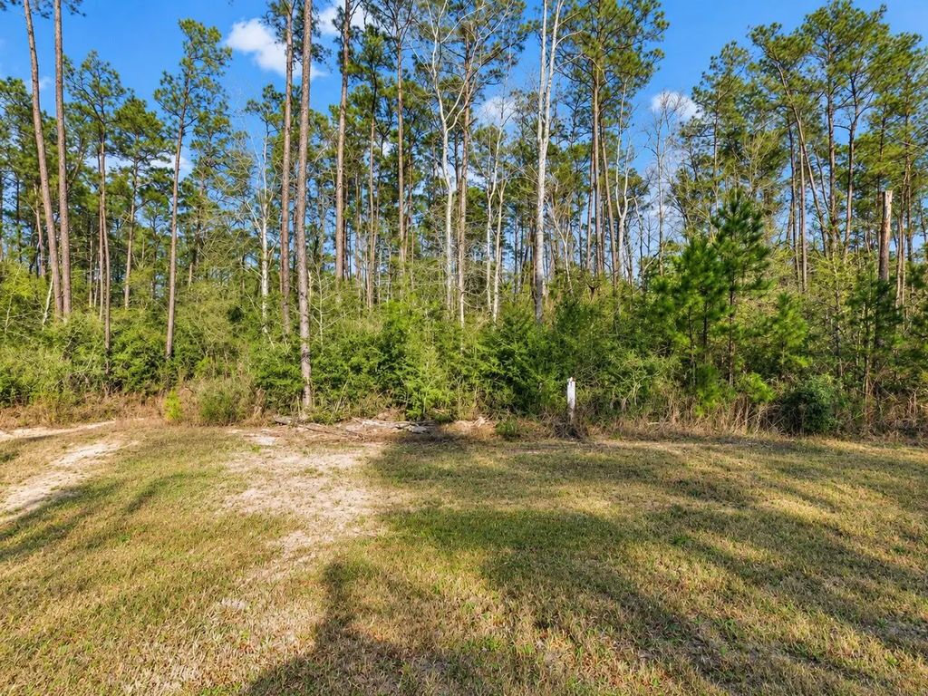 10721 Ruger Road, Willis