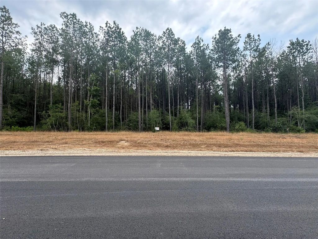 10634 Forest Mill Road, Willis