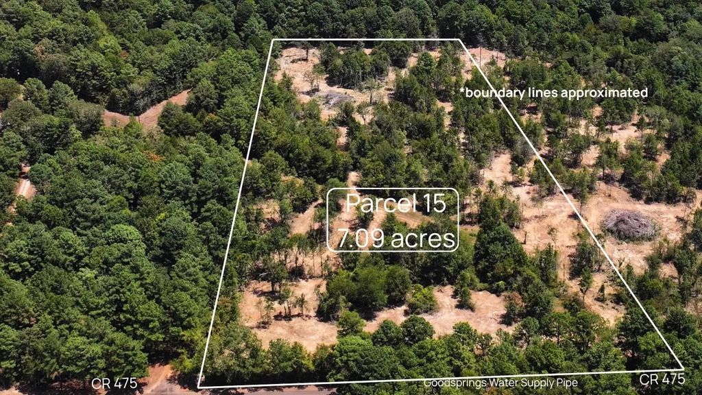 Tbd #15 County Road 475a, Henderson