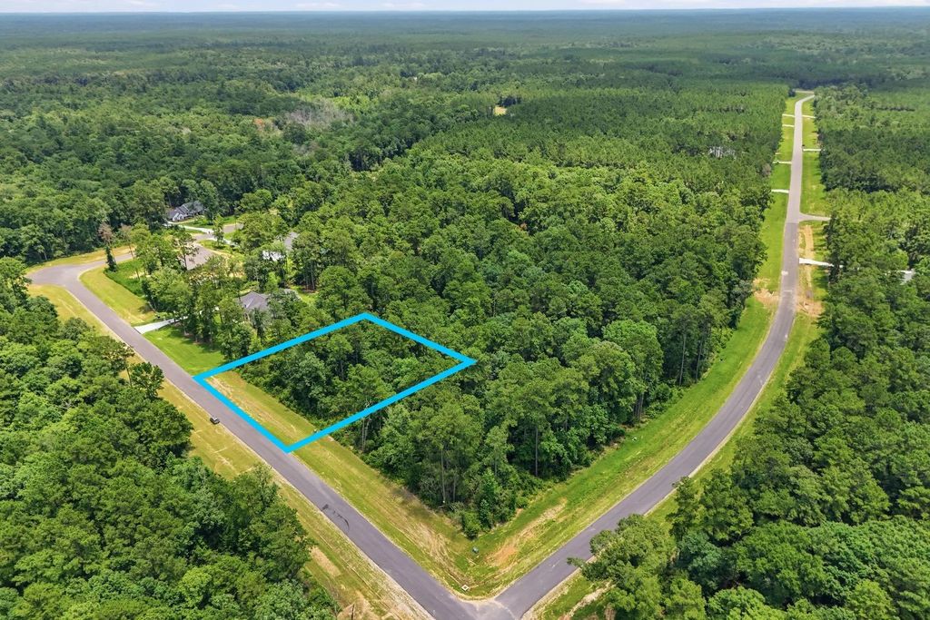 16068 Four Hills Rd, Willis