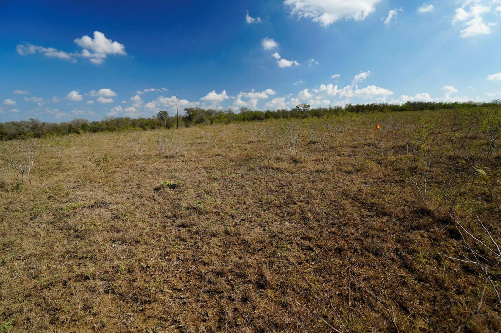 Lot 12 000 Cr 447, Waelder