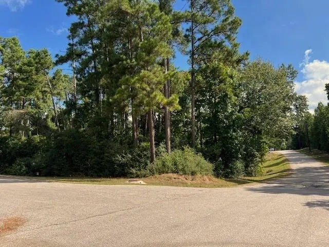 116 Water Oak, Livingston