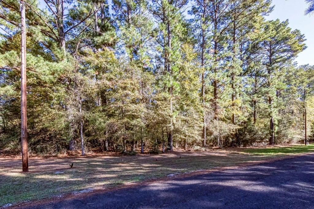 Tbd Mockingbird Hills, Livingston