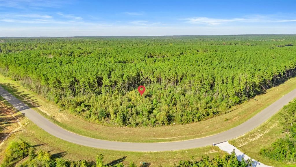 16086 Forest Mill Road, Willis