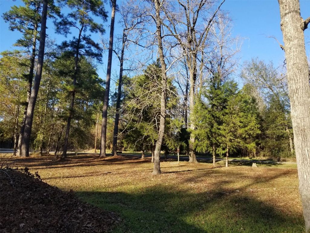 Tbd Acorn, Livingston