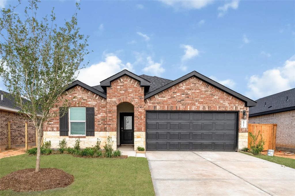 10730 Dogwood Sky Drive, Beasley