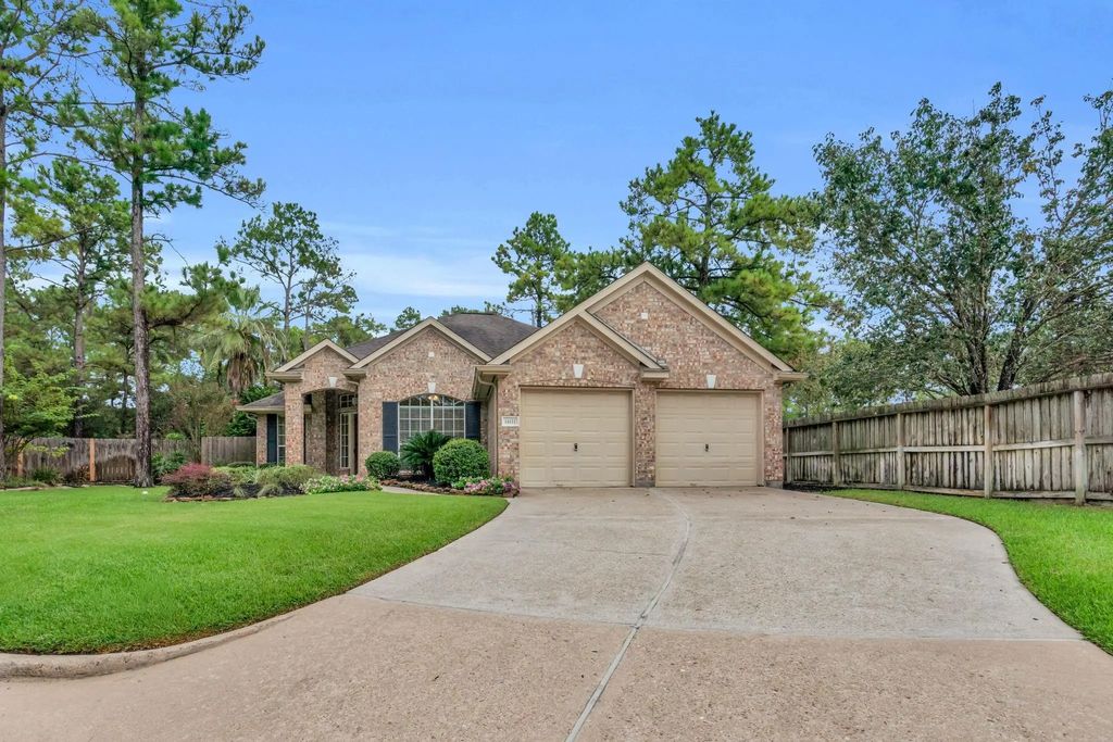 14111 Autumn Mist, Cypress