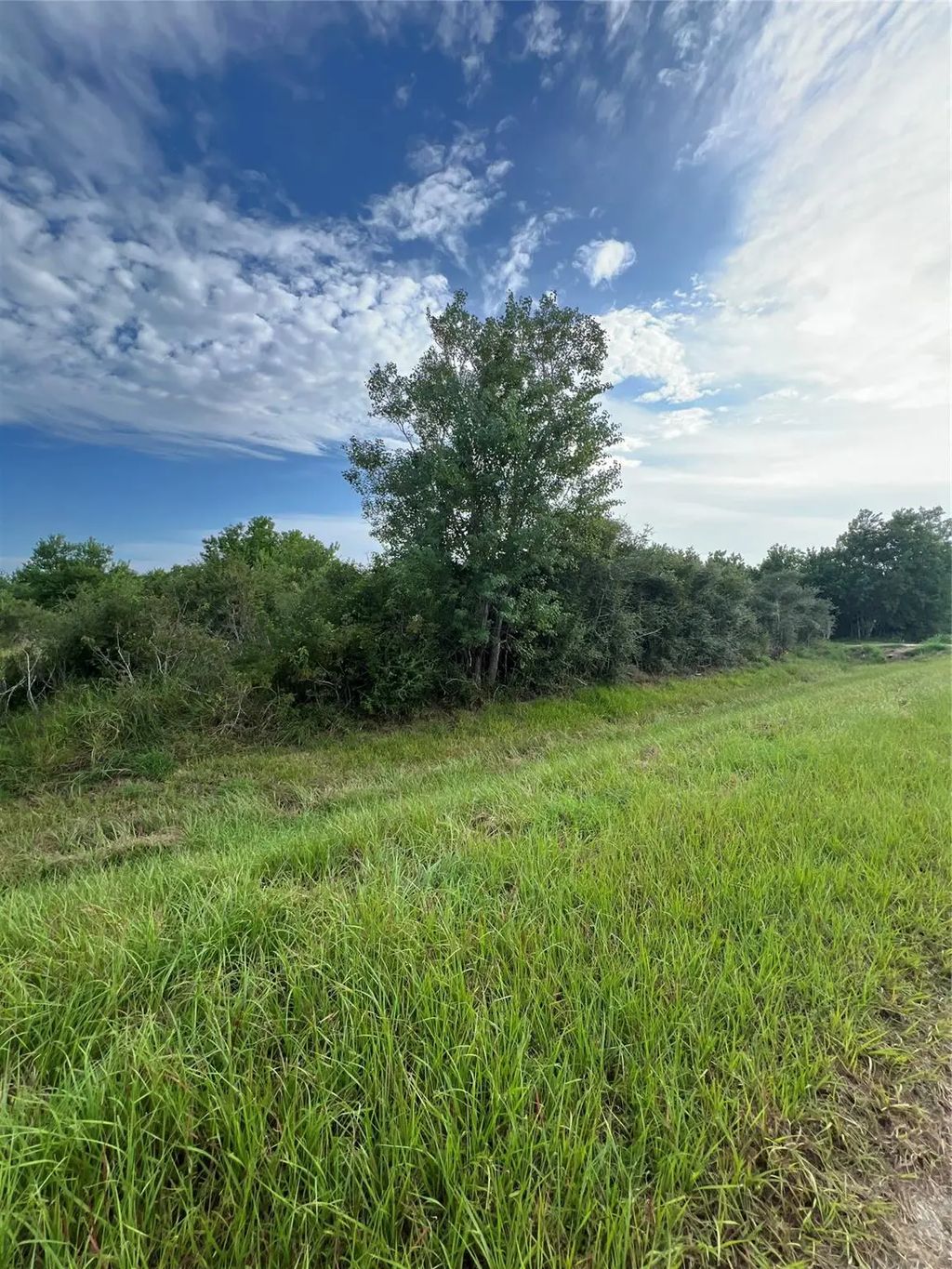 County Road 246 West Avenue, Matagorda