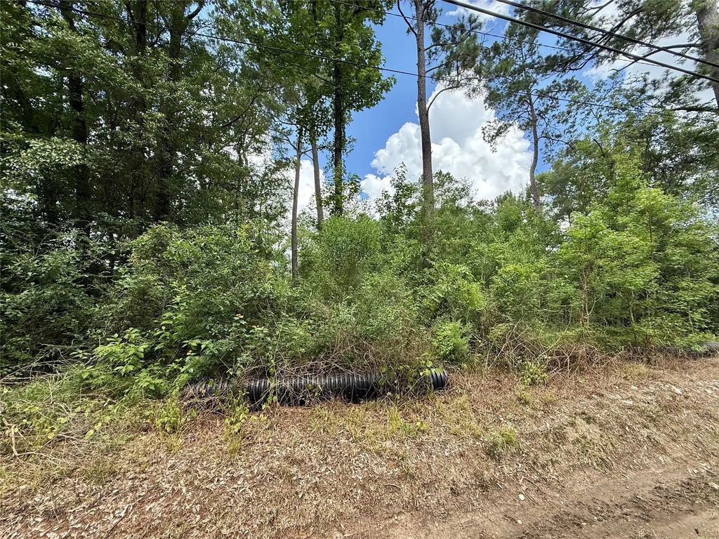 1030 Butler Road, Vidor