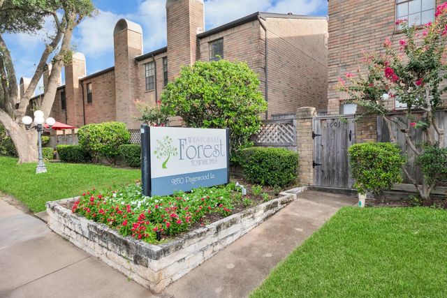 9850 Pagewood Lane 1304, Houston