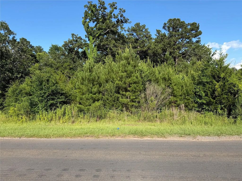 N Hendrix Avenue, Diboll