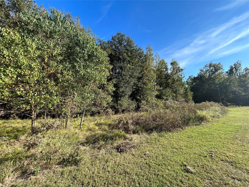 Lot 10 Unit 5 Cypress Lakes Drive, Cleveland