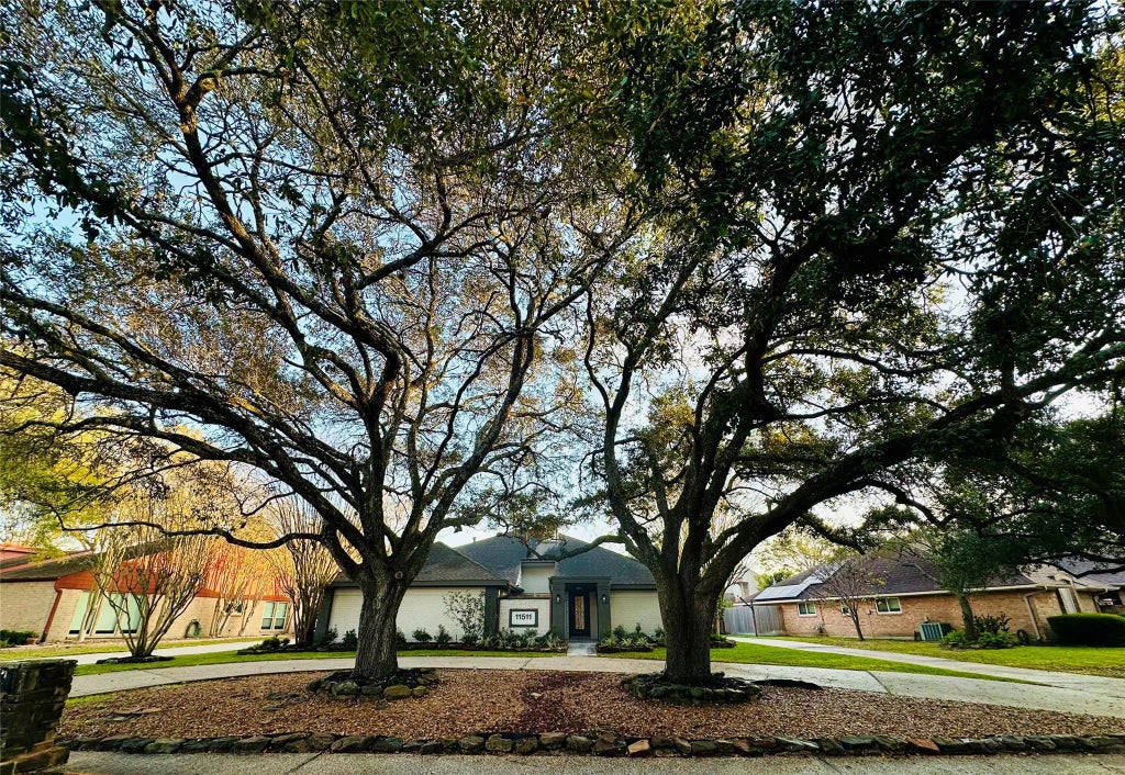 11511 Long Pine Drive, Houston