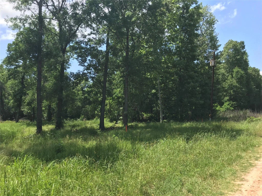 Tbd Arrowhead Trail, Livingston