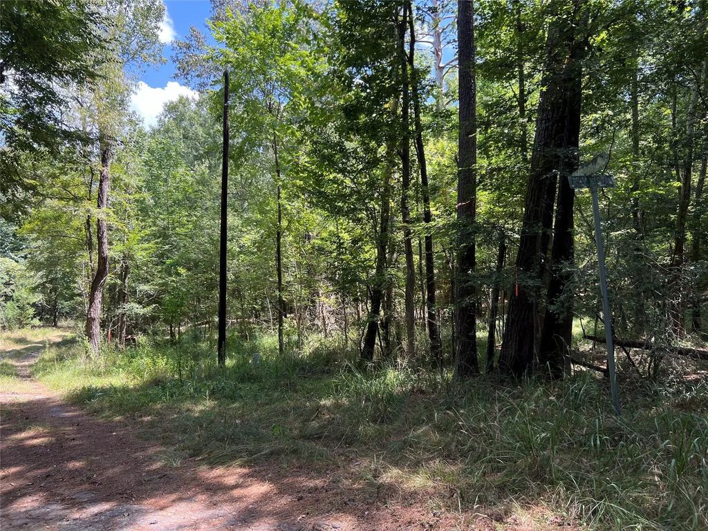 415 Rio Vista Drive, Livingston