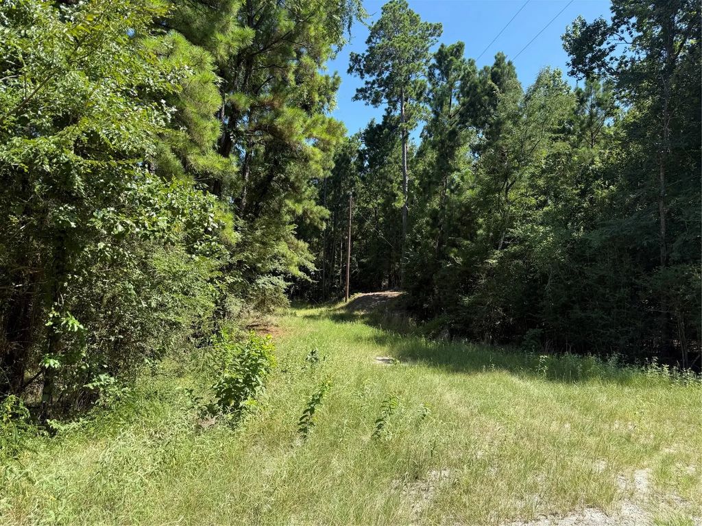 Tbd Creeklake Drive, Onalaska