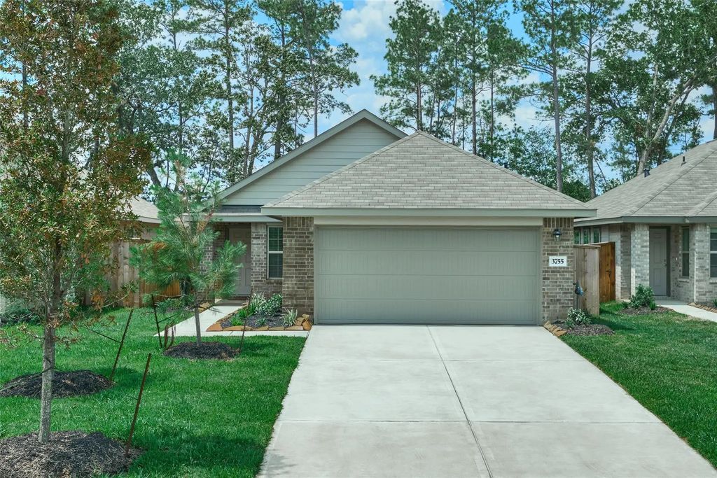 3755 Solanum Drive, Conroe