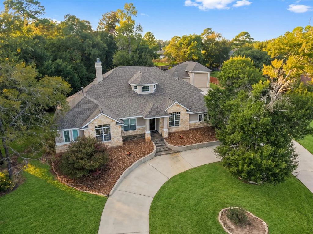 12195 N Lake Vista Drive, Willis