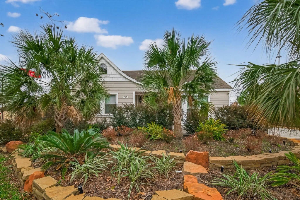 717 W 30th Street, Houston