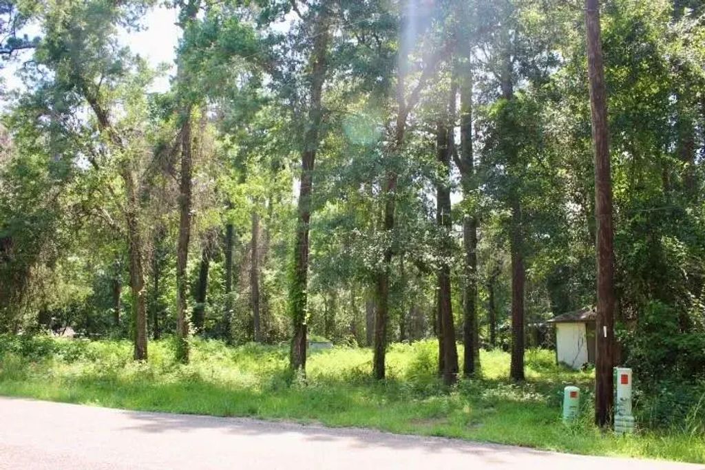 410 Dogwood Trail, Conroe