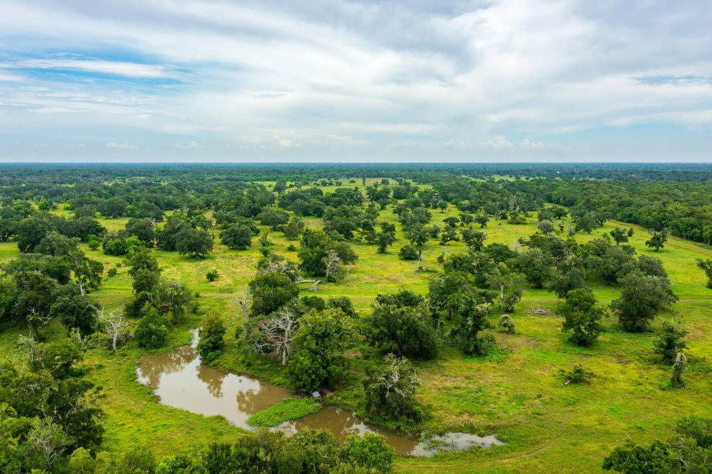 319 Cr 319, Brazoria