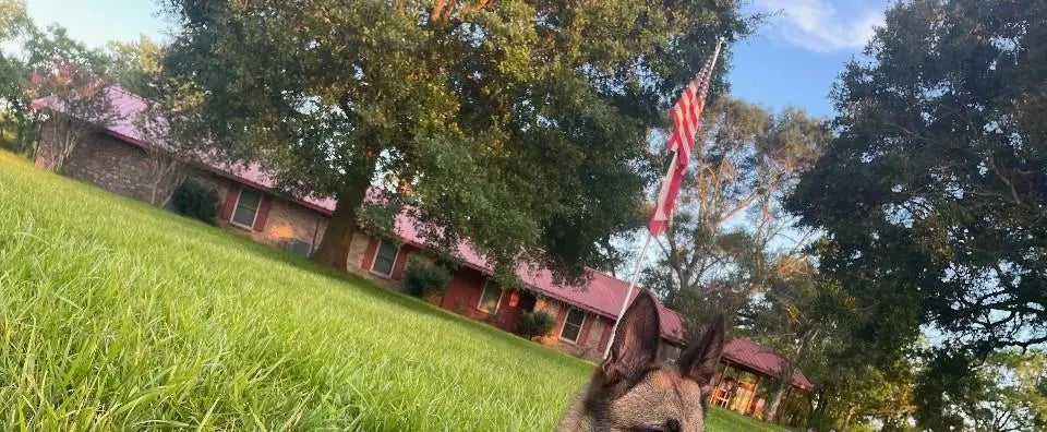 150 County Road 2296, Cleveland