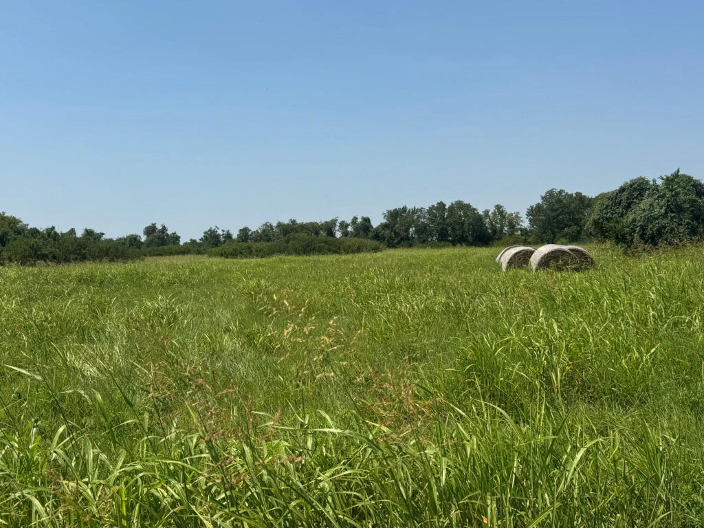 Tbd County Road 230, Glen Flora