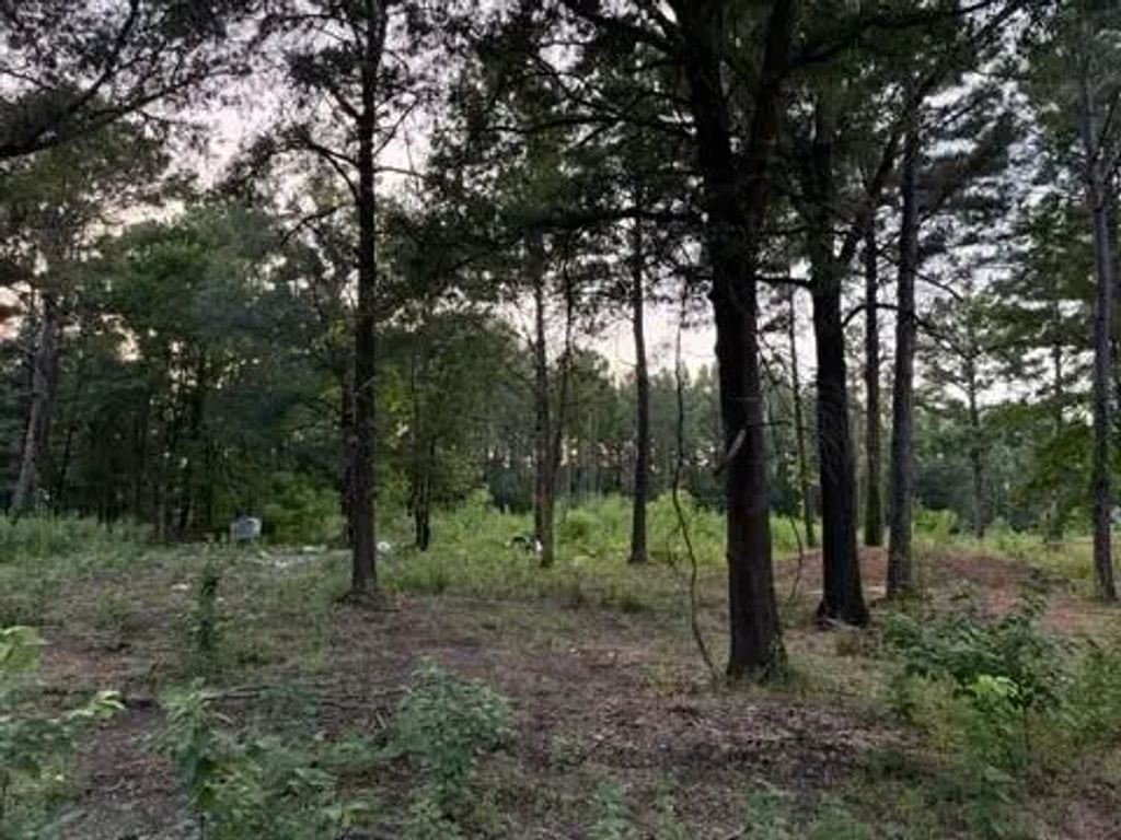 120 Pioneer Trail, Livingston