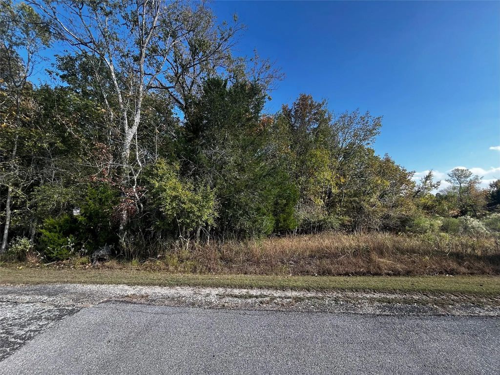 165 N Pine Harbour Drive, Coldspring