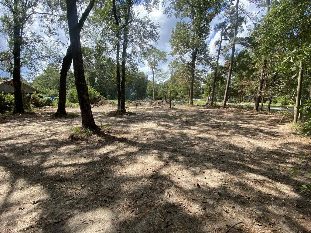 19626 Forest Dr W Drive, New Caney