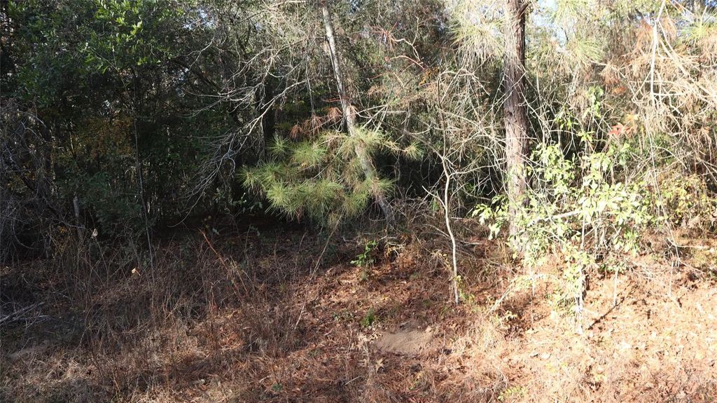 Pin Tail Drive, Coldspring