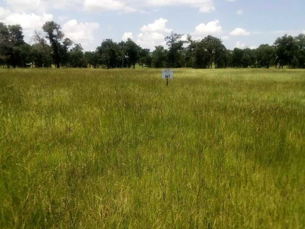 Tr 7 Tbd Pr 1311, Centerville